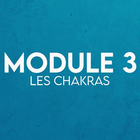 Module 3